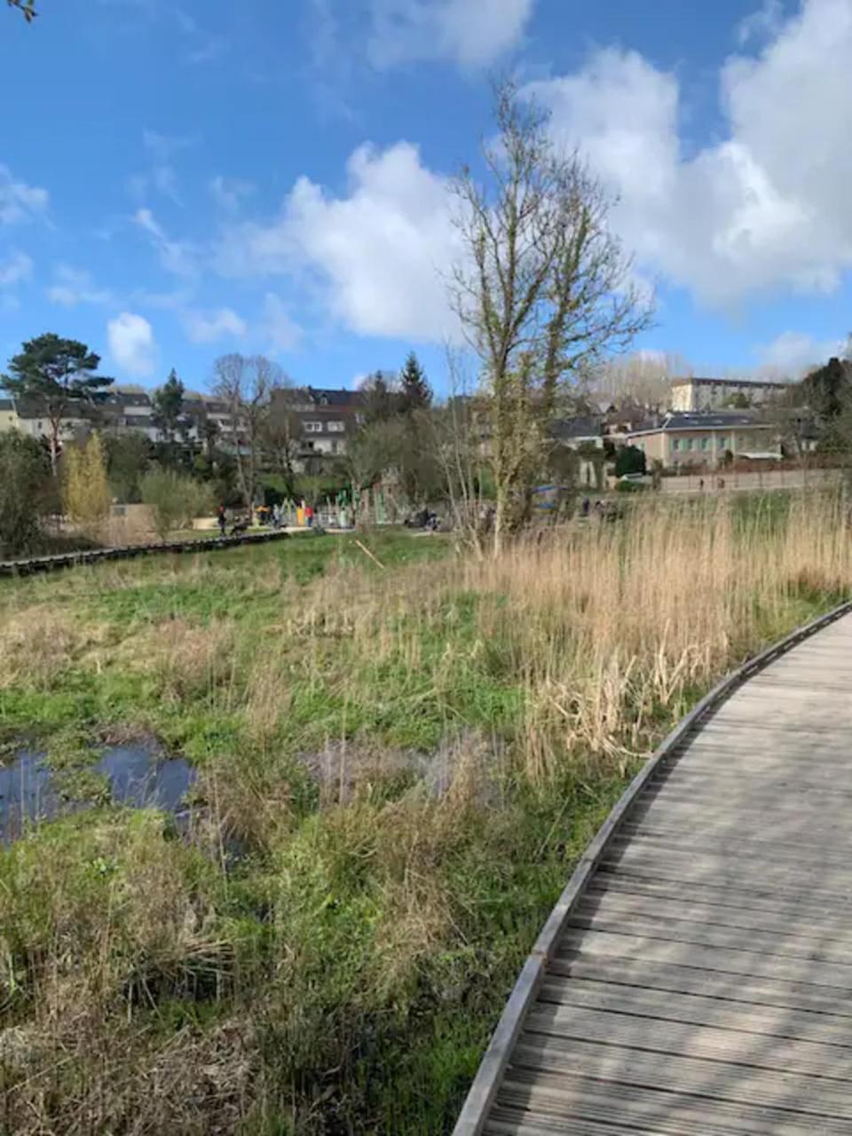 Appartement Spacieux Et Elegant Avec Jardin Montivilliers Esterno foto